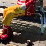 散歩中の犬が『マクドナルドの人形』を本物の人間だと勘違いして…あまりにも愛おしい『まさかの光景』に反響「健気でたまらん」「見えるよねｗ」(ブログ)