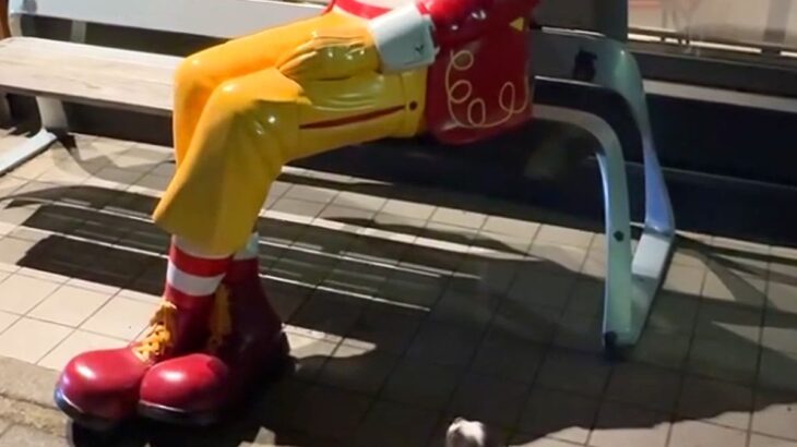 散歩中の犬が『マクドナルドの人形』を本物の人間だと勘違いして…あまりにも愛おしい『まさかの光景』に反響「健気でたまらん」「見えるよねｗ」(ブログ)