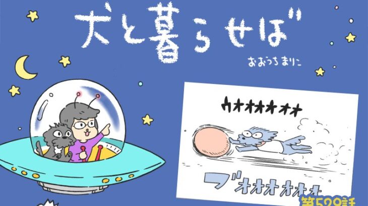 犬と暮らせば【第529話】「それはそれでイヤ」(ブログ)