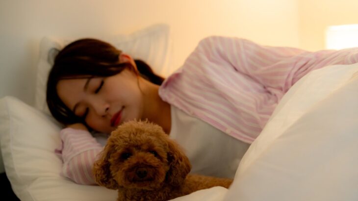 犬が『布団を好む』理由５選　一緒に寝たがる心理や意外と知らないリスクまで解説(ブログ)