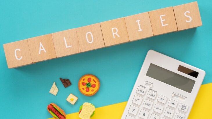 犬に適切な『ごはんの量』とは？ドッグフードを与える際の注意点まで解説(ブログ)