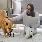 犬を外に連れて行けないときの『室内遊び』4つ　運動不足を解消する方法とは？(ブログ)