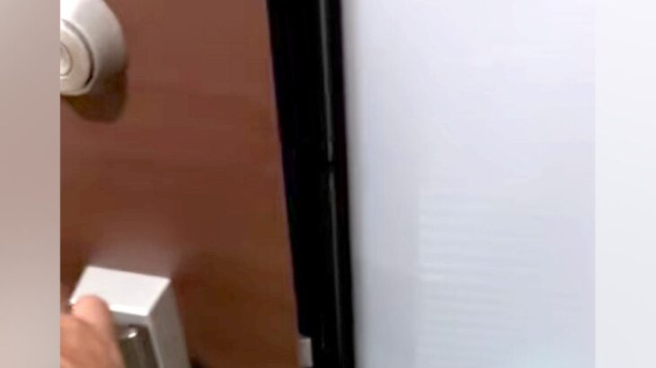 保護犬を飼い始めて5年→数時間ぶりに家に帰ると、今でも…ずっと変わらない『全力の大歓迎』に反響「なんて尊くて愛おしい」「3年ぶりレベル」(ブログ)