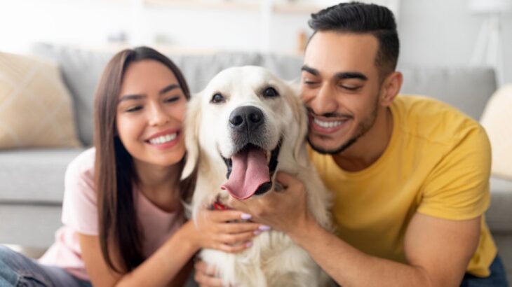 犬が『人の間に割り込む』心理５選　嫉妬しているから？飼い主がすべき対応まで解説(ブログ)