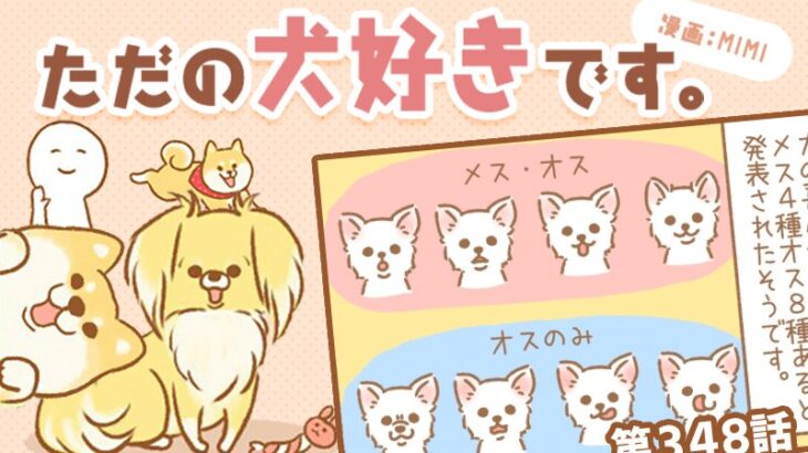 ただの犬好きです。【第348話】「嬉しい表情」(ブログ)