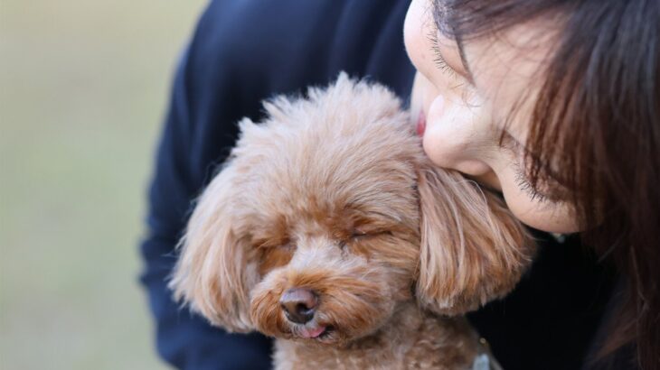 犬が『触られたくない』と思っているときのサイン3つ　良好な関係性を築くためのポイントとは？(ブログ)