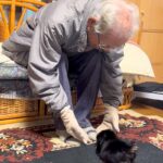 おじいちゃんが『孫の犬に会いたい』と言っていたので、連れて行ったら…あまりにも尊い『初対面の光景』に反響「嬉しそう」「ふたりとも可愛い」(ブログ)