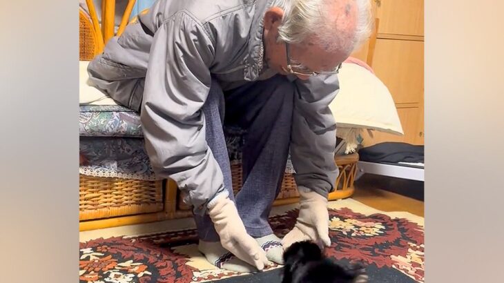おじいちゃんが『孫の犬に会いたい』と言っていたので、連れて行ったら…あまりにも尊い『初対面の光景』に反響「嬉しそう」「ふたりとも可愛い」(ブログ)