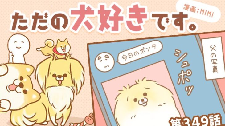 ただの犬好きです。【第349話】「撮影者」(ブログ)