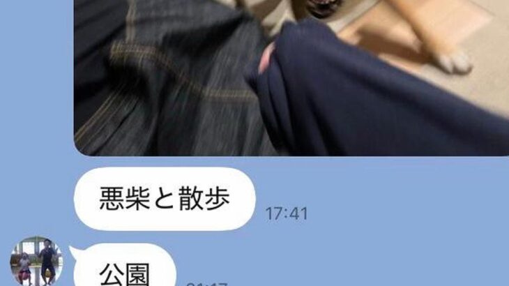家族からのLINEで、いつも『犬』が送られてきて…シュールで愛おしい『平和すぎるやり取り』が12万再生「お母さんの一言ｗ」「やばいｗｗ」(ブログ)