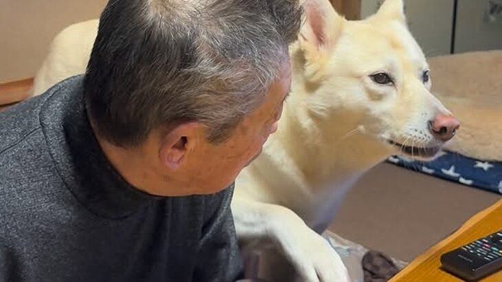 『おじいちゃん、一緒に2階に来てよ』と駄々をこねる犬→8回目のおねだりで…いつまでも見ていたい光景が401万再生「尊い…」「会話してる」(ブログ)