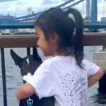 4歳の女の子と犬を撮影→6年後、『同じ場所で写真を撮った』結果…尊すぎる『現在と過去』に感動「何年経っても想いは変わらない」と17万再生(ブログ)