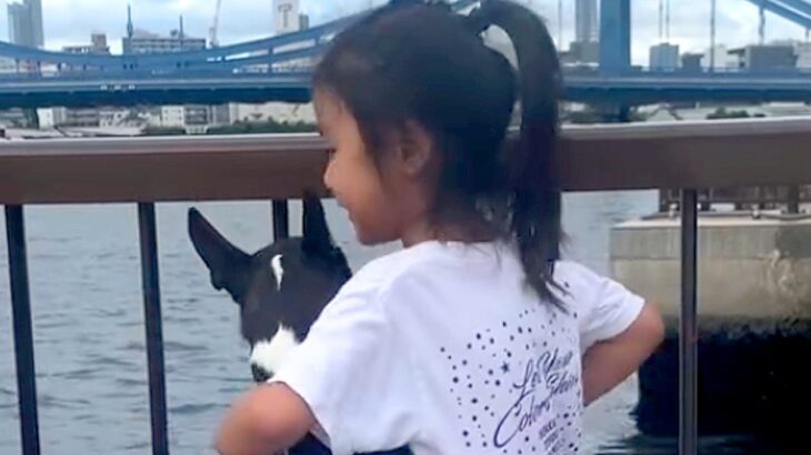 4歳の女の子と犬を撮影→6年後、『同じ場所で写真を撮った』結果…尊すぎる『現在と過去』に感動「何年経っても想いは変わらない」と17万再生(ブログ)