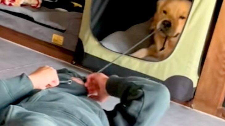 パーカーを着ている男性→大型犬に『ヒモ』を引っ張られてしまい…爆笑必至な『まさかの攻防戦』が17万再生「最後ｗｗｗ」「戦い方わかってる」(ブログ)