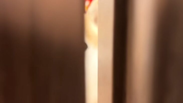 ドアを閉めて『犬と10秒間だけお別れしてみた』結果→そーっと開けてみると…抱きしめたくなる『再会の瞬間』に反響「健気だ」「バレバレｗ」(ブログ)