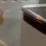 空気清浄機が爆音で動き始めたので、何事かと思ったら…まさかの『可愛すぎる原因』が85万表示「フル稼働させてて草」「可愛いｗｗ」と爆笑の声(ブログ)