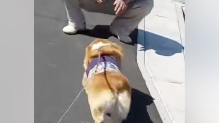 『工事現場のおじさん』と遭遇した犬→出会ったばかりとは思えない『まさかの光景』が27万再生「本当に初対面なの？ｗｗ」「メロメロになる」(ブログ)