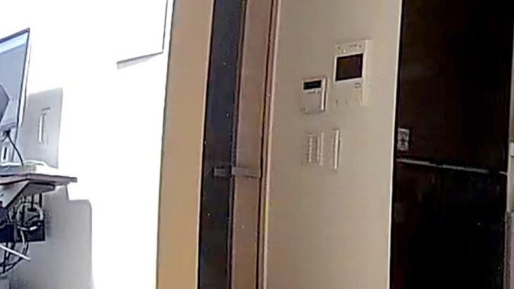 帰宅が遅くなったので『見守りカメラで犬を確認した』結果→ドアの前で…飛んで帰りたくなる光景に9万いいね「泣いちゃう…」「まさに忠犬」(ブログ)