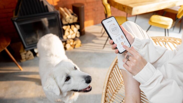 犬がいる家の『電気代』はどれくらい？冬場の暖房費用は？無理のない節約方法までご紹介(ブログ)