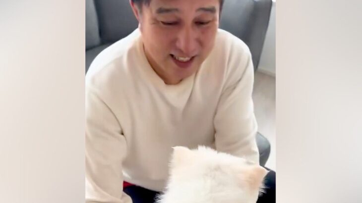 犬を飼うことをずっと反対していた父→飼った子犬と会わせてみた結果…想定外だった『まさかの初対面の様子』が話題「1番甘やかすんだよねｗ」(ブログ)