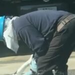 車で帰宅後、隣の家で仕事をしていた『剪定職人のおじさん』が…予想外だった『まさかの光景』が73万再生「心が綺麗なおじさま」「平和だ…」(ブログ)