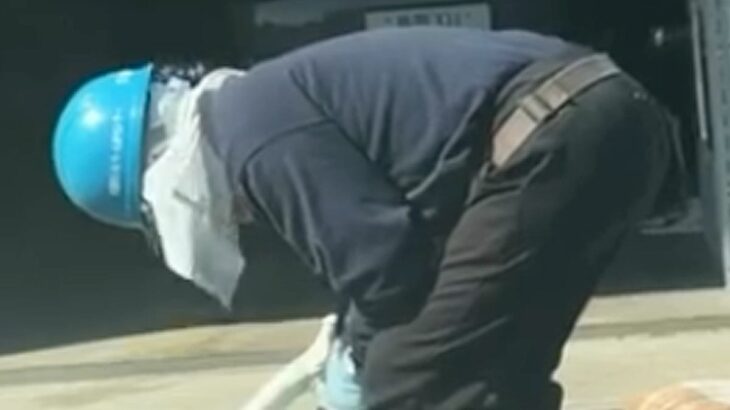 車で帰宅後、隣の家で仕事をしていた『剪定職人のおじさん』が…予想外だった『まさかの光景』が73万再生「心が綺麗なおじさま」「平和だ…」(ブログ)