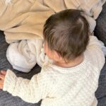 1歳の女の子が届かない位置に避難する犬→想定外だった『賢すぎる方法』と『ドヤ顔』が8万4000表示「天才ｗｗ」「イッヌの勝利」と爆笑(ブログ)