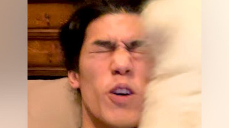 実家に帰省した男性→『おかえり！』と出迎えてくれた犬が…想像を超える『大歓迎』が99万再生「もはや洗車ｗｗｗ」「苦しそうで草」と爆笑(ブログ)