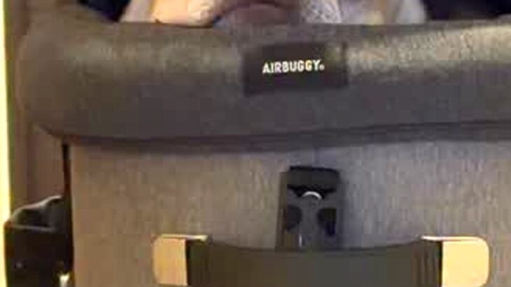 お出かけ帰り『カートから犬を降ろし忘れた』結果→振り返ると…哀愁漂う『まさかの表情』が24万再生「なんとも言えない顔ｗ」「愛おしすぎ」(ブログ)