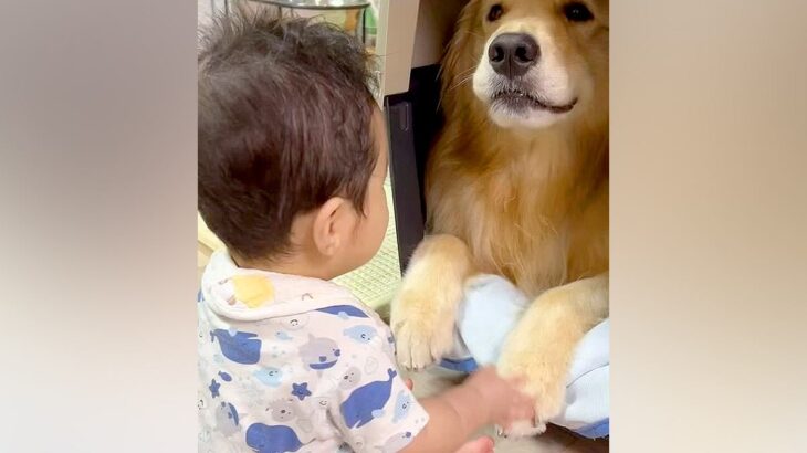 赤ちゃんが『大型犬の前足に触れた』結果→まるで『お話し』ているようで…とんでもなく尊い『心を通わせる光景』に反響「かわいくて微笑ましい」(ブログ)