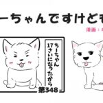 ちーちゃんですけどもっ【第348話】「ちーちゃんのおばあちゃん」(ブログ)