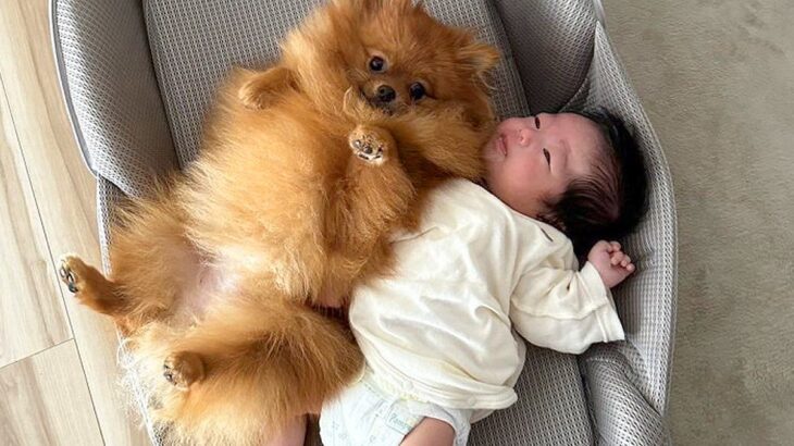 赤ちゃんが『3匹の犬に囲まれて育った』結果→1年後の『成長した現在』に思わず感動すると1万いいね「絆が深まってて泣ける」「可愛すぎる」(ブログ)