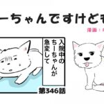 ちーちゃんですけどもっ【第346話】「たくさんありがとうございます」(ブログ)