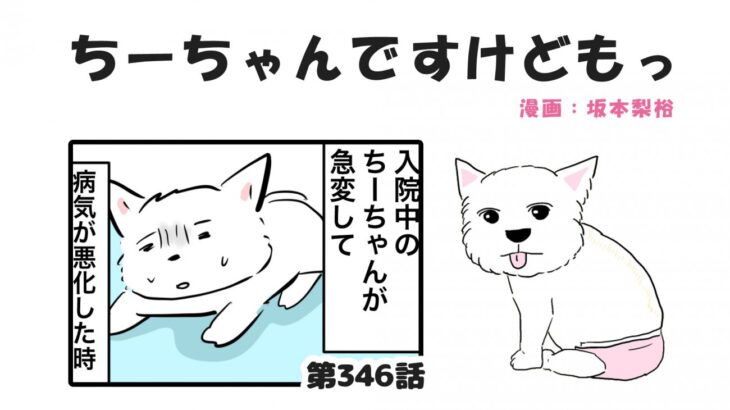 ちーちゃんですけどもっ【第346話】「たくさんありがとうございます」(ブログ)