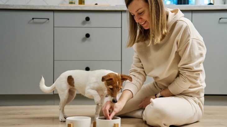 犬との暮らしで覚えておきたい『飼い始めの気持ち』4つ　初心を忘れないために飼い主ができることとは？(ブログ)
