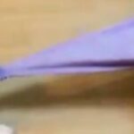 『犬を飼うと、洋服代が…』遊んで！と飼い主を誘う大型犬→思った以上に『豪快な光景』が42万表示「ダメージ凄すぎて草」「世界に一枚だけｗ」(ブログ)