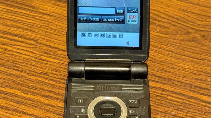 実家にあったガラケーを充電したら『亡くなった愛犬の写真』を見つけて…思わず涙腺がゆるむ光景が161万表示「ダメだ、泣けちゃう」「宝物」(ブログ)