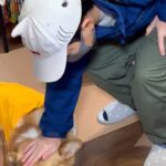 小学校へ行く男の子→なぜか犬がふてくされていて…愛おしすぎる『まさかの理由と表情』が17万再生「健気すぎる」「前後の顔の変わりようｗ」(ブログ)