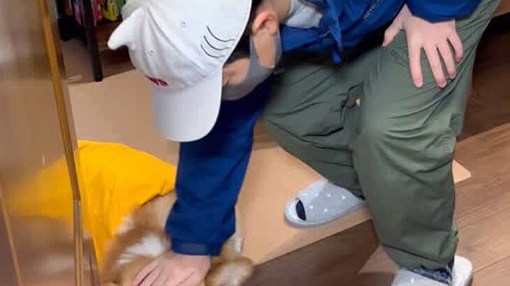 小学校へ行く男の子→なぜか犬がふてくされていて…愛おしすぎる『まさかの理由と表情』が17万再生「健気すぎる」「前後の顔の変わりようｗ」(ブログ)