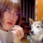 『コンビ結成何年目ですか？』犬のオヤツを食べる女性→お笑い芸人顔負けな『掛け合い』が119万再生「どう見ても台本ありｗｗ」「おもろすぎ」(ブログ)