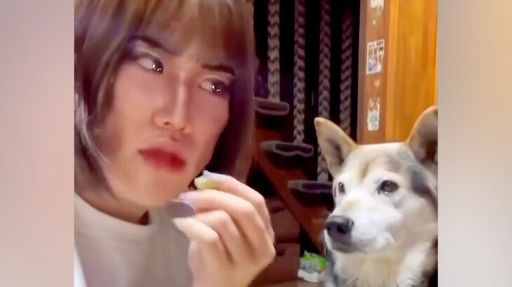 『コンビ結成何年目ですか？』犬のオヤツを食べる女性→お笑い芸人顔負けな『掛け合い』が119万再生「どう見ても台本ありｗｗ」「おもろすぎ」(ブログ)
