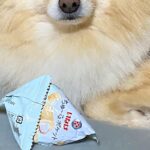『食べたことのないオヤツ』をもらった犬→あまりにも美味しくて…『まさかの行動と表情』が可愛すぎると17万表示「うるうるｗ」「癒された」(ブログ)