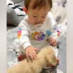 赤ちゃんが『子犬と出会った』結果→優しく触れあって…お互いが見せた『はじめましてのご挨拶』が331万再生「感動した」「可愛すぎてため息」(ブログ)