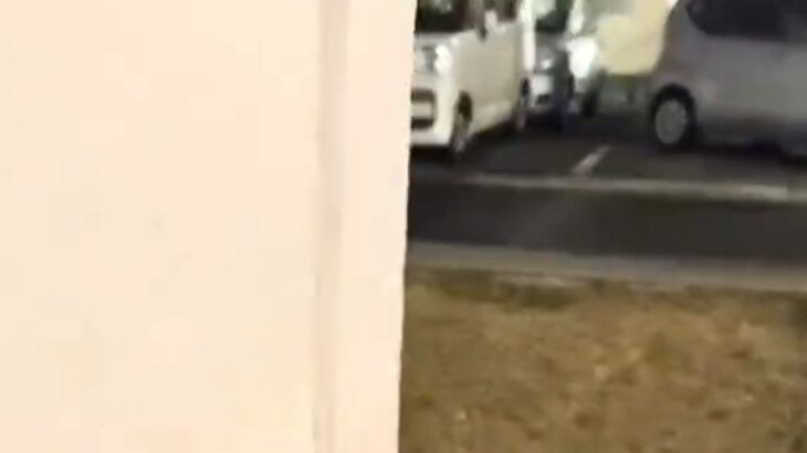 散歩中、呼んでも来てくれない犬→物陰に隠れてみた結果…あまりにも愛おしい反応が話題に「2段階ジャンプ可愛すぎるｗ」「カンガルーかｗ」(ブログ)