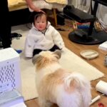 赤ちゃんに触ろうとすると、犬がすぐさま駆けつけて…『過保護すぎる光景』が尊いと54万再生「可愛すぎる護衛」「機敏なSPｗｗ」「頼もしい」(ブログ)