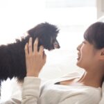 犬を大満足させる『愛情表現』5選　気持ちを伝えるにはどうしたらいいの？必要なコミュニケーションまで(ブログ)
