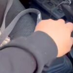車の助手席に座る犬→飼い主が『シフトレバーの上に手を置いた』瞬間…まさかの光景が18万再生「強引な彼女ｗｗ」「あざとい女子で草」と反響(ブログ)