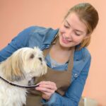 犬にとって『危険な首輪』５選　絶対NGな理由や起こり得るトラブルまで(ブログ)