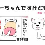 ちーちゃんですけどもっ【第349話】「夜中の徘徊は色々パターンがあるらしい」(ブログ)