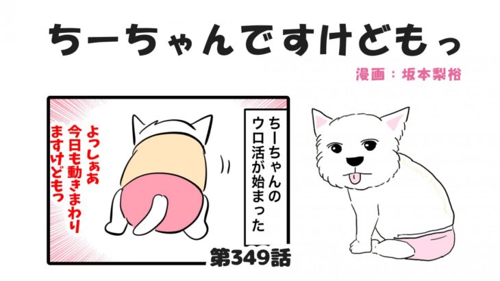 ちーちゃんですけどもっ【第349話】「夜中の徘徊は色々パターンがあるらしい」(ブログ)